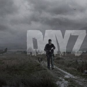 dayz-private cover